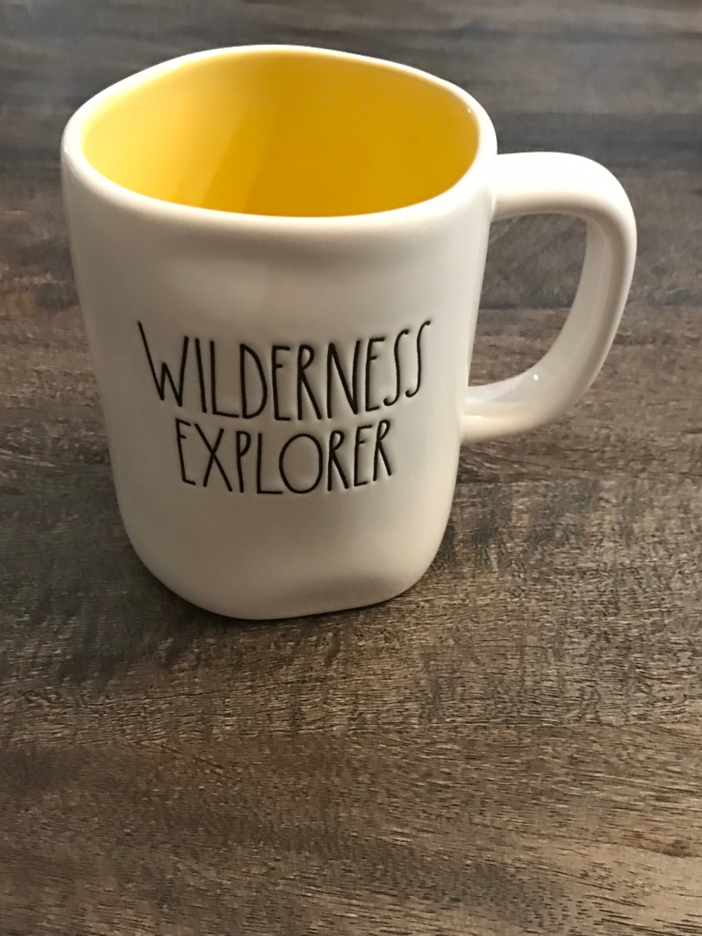 Rae Dunn Artisan Collection / Disney Pixar white ceramic WILDERNESS EXPLORER mug